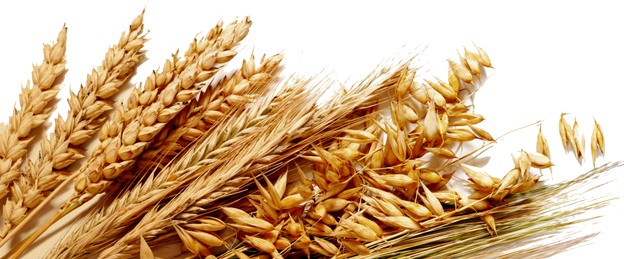 Σιτάρι